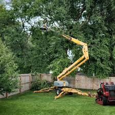 Landscape Design and Installation in Thornton, IL