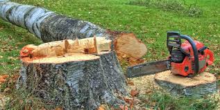  Thornton, IL Tree Services Pros