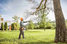Best Lawn Maintenance Plans  in Thornton, IL