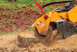 Best Utility Line Clearance  in Thornton, IL