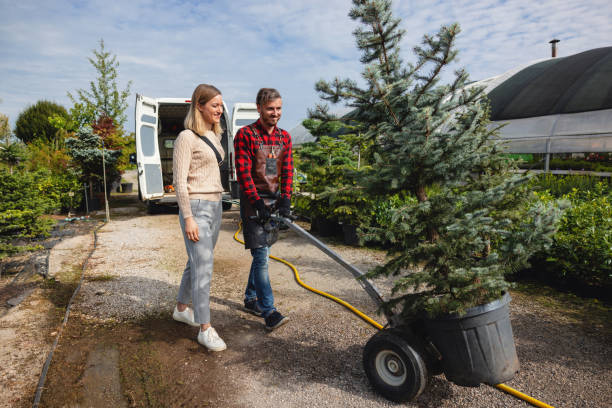 Best Pest Control for Lawns  in Thornton, IL